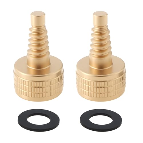 Be In Your Mind 2pcs 27g Brass Billiard Cue Screws Club Weight Bolt for Pool Cues, 17mm