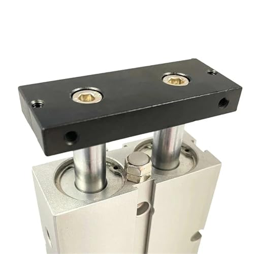 Vérin pneumatique haute précision TN double tige course 40mm robuste - 5