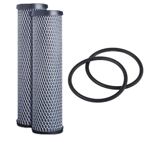 F4Y Carbon Block Filters for FXWTC GXWH04F GXWH20S 2 Pack + O-Rings