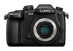 Panasonic LUMIX 20 MP DC-GH5EG-K Systemkamera