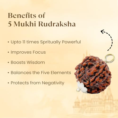 Image of Astrotalk 5 Mukhi Rudraksha Bracelet | Spiritual Essence of Focus & Growth | Natural original Rudraksha Beads | Astrology Unisex Bracelet for Men & Women
