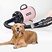 CHAOLUN Dog Dryer for Pet Grooming, High Velocity Pet Hair Dryer with Heater, Adjustable Speed, 3 Nozzles and a Comb, Pink