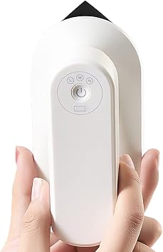 LANRU Portable Mini Electric Iron Cordless Rechargeable Dry Iron Wrinkle Remover Touch-Up Ironing for Home Business Trip Travel
