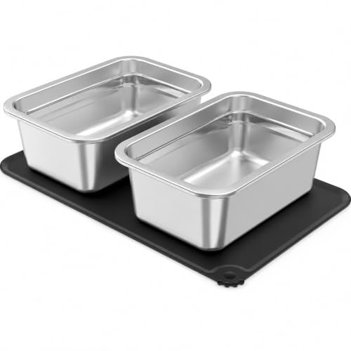 Juego de 2 Cuencos para Perros de Acero Inoxidable de 6L, 32 x 26 x 10 cm, elevados, para Agua y Comida, X-große Perros, Interior, Uso al Aire Libre