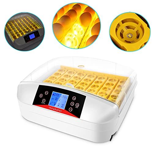 Inkubator, Caroma Brutmaschine Vollautomatisch, Digitaler Eierbrüter mit automatischem Eierdrehen und Feuchtigkeits- und Temperaturkontrolle, LED-Kerze, 42 Eier Inkubator Brüter Cover
