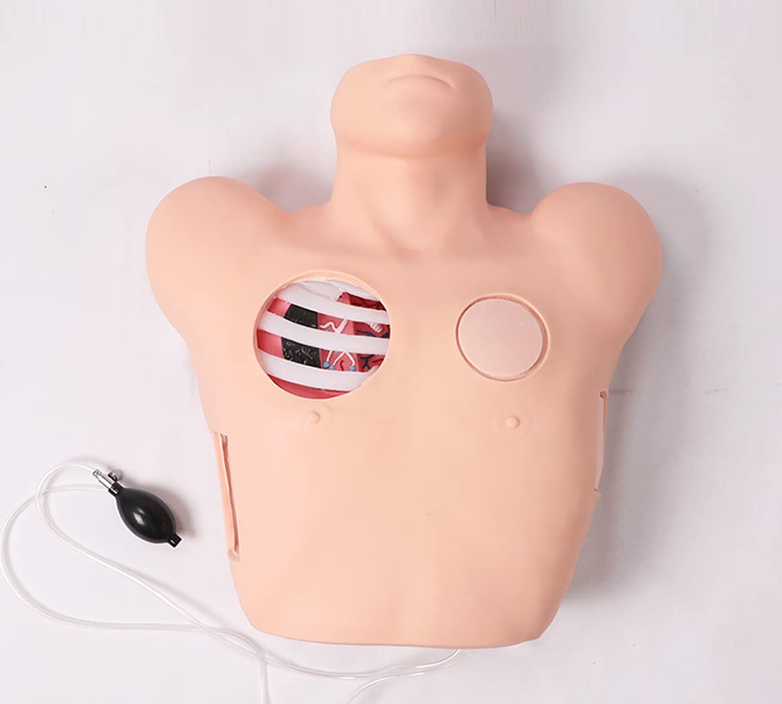 Mannequin Formation À Thoracentèse Mannequin Humain Simulé Modèle Drainage du Pneumothorax Après Un Traumatisme Thoracique Modèle Drainage Thoracique Fermé Formation Hospitalière 51X49x20cm