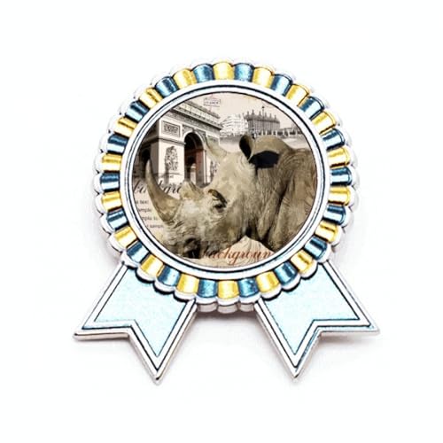 Broche French Paris style européen accessoire idéal pour veste M