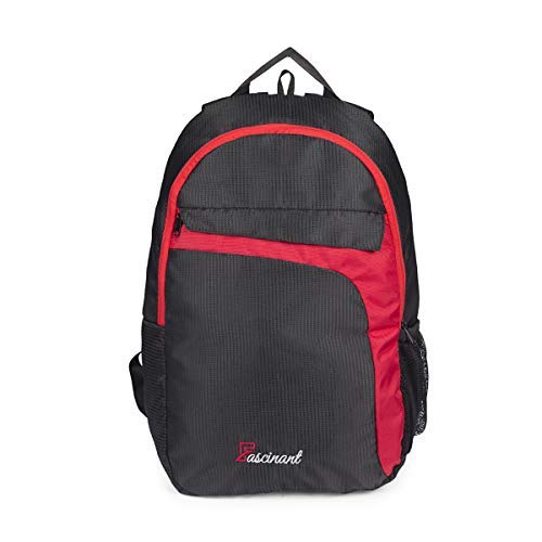 Fascinant Laptop Bag 30 ltr Black Grecia Amazon.in Computers