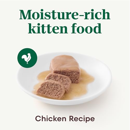 Nutro Perfect Portions Kitten Pate Wet Cat Food, Chicken, 2.6 oz, 24 ct | Real chicken #1 ingredient, DHA omega-3, brain & eye development, bone & joint support, 100% complete for kittens 2-12 months - image 2