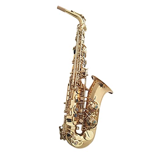 lp E-Drop Paint Gold Alto Saxophone Ǌy _uu ⋭ w