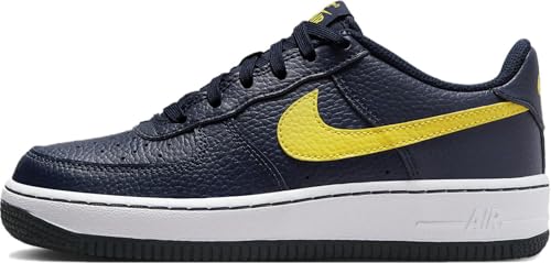 Nike Air Force 1 (Big Kid)
