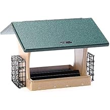 Birds Choice SN300-S مغذي هوبر على الوجهين ، مغذي الطيور المعاد تدويره مع أقفاص Suet ، كبير ، رمادي داكن / أخضر