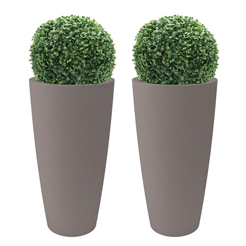 Nicoli Style Vase haut, 36 x 70 cm, intérieur, extérieur, soucoupe amovible, avec 2 buis...