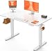 ErGear Escritorio Elevable Eléctrico, Mesa de Trabajo Ajustable en Altura, Mesa de Oficina en Casa con Tablero Ensamblado, 120 x 60 cm, Estilo Moderno, Ideal para Trabajo, Redacción y Juegos