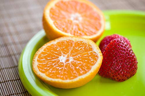 Preserve Plate Kitchen Supplies, Large, Apple Green #TOP3