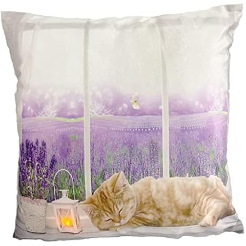 alottagifts Kittens Cat Sleeping Window Lights Up Square Unique Printed Lovely Cat Pattern Throw Pillow Case Cushion Cover 18 X 18 Inches Cover