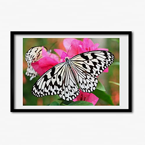 Tableau moderne papillon sur fleur 60x40 cm avec finition cadre bois Tulup
