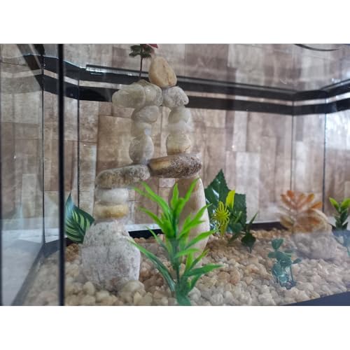 Aquário Beteira Oval 35cm Para Peixe Betta Decorado Ornamentação Exclusiva