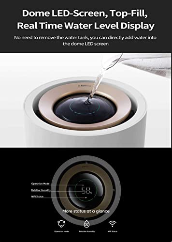 Smartmi Evaporative Humidifier Rainforest, 3L Cool No Mist Humidifiers For Bedroom, Visible Raindrops, Top-Fill, Air Humidifiers For Baby, Self-Cleaning #TOP7