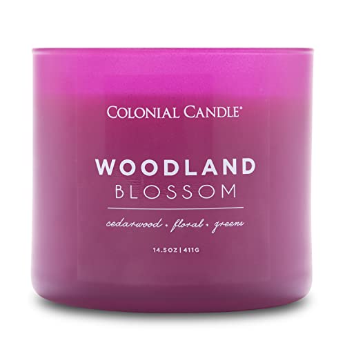Colonial Candle Woodland Blossom Scented Jar Candle, Pop Of Color Collection, 3 Wick, Purple, 14.5 Oz - Up To 60 Hours Burn #TOP6