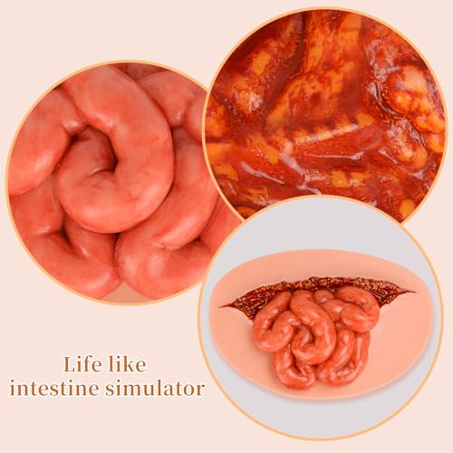 Image of Adhesive Eviscerated Intestine Simulator, Open Abdominal Wound Packing Trainer, Small Intestine Simulator for Wound Care Practice, Medical Education Tools