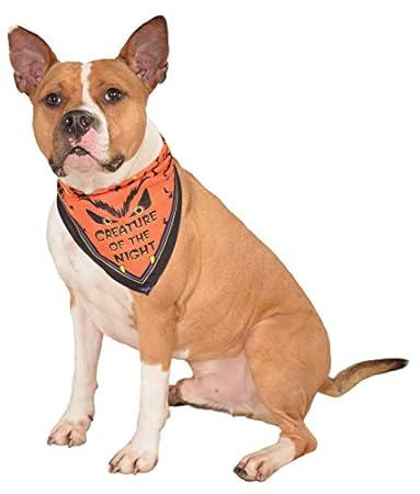 Rubies Costume Company Creature of The Night Pet Bandana, Medium/Large