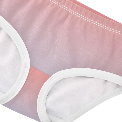 Joisal Durable Toddler Girls Underwear 2t Cotton Little Girl Panties Coral Pink Light Steel Blue Gradient Briefs Girls Undies4