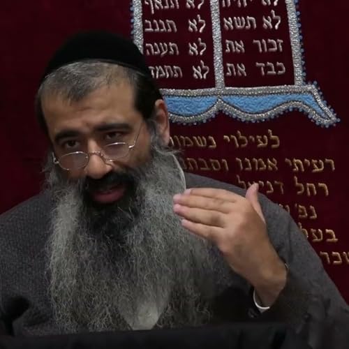 תומר דבורה 25 (36 בפועל)