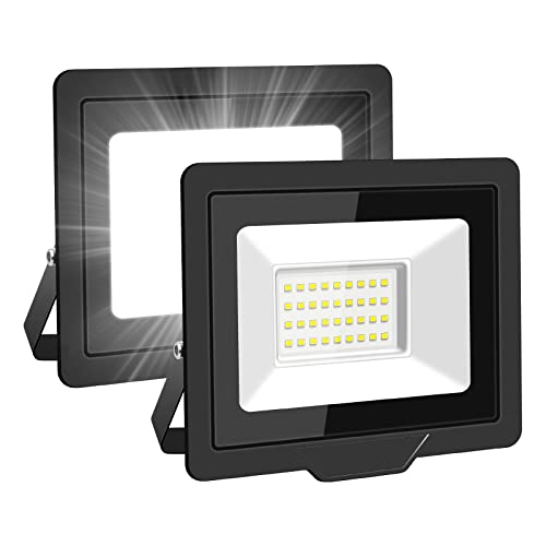 SKYWORLD 30W LED Flood Light Outdoor