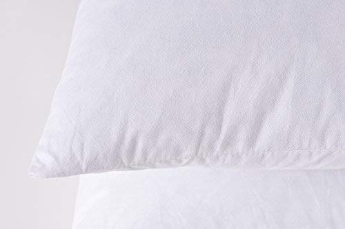 Homesjun Set Of 2 Feather And Down Pillow Insert, 10X18 Rectangle Decorative Throw Pillow Insert, Cotton Cover, White #TOP1