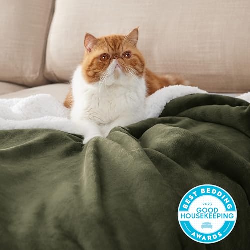 Image of Bedsure GentleSoft Sherpa Fleece Twin Size Blanket for Couch, Non-Heated, Thick and Warm Throw for Women and Men, Soft Fuzzy Plush Twin Blanket for Winter, Olive Green, 60x80 Inches