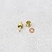 Be In Your Mind 4 Sets Bicycle Brake Olive Insert Compatible with Hope Brake Hoses Mountain Bike Disc Brake Olive and Insert Pack Brake Line Olive Connector Insert Replacement