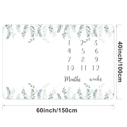Image of Baby Milestone Blanket 60''x40'' Eucalyptus Leaves Newborn Photography Props Blanket for Boy & Girl Personalized Shower Props Baby Age Blanket to Record Baby Milestones with Frame