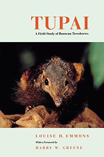 Tupai: A Field Study of Bornean Treeshrews (Organisms and Environments)