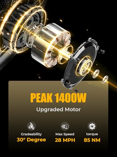 Folding Electric Bike for Adults