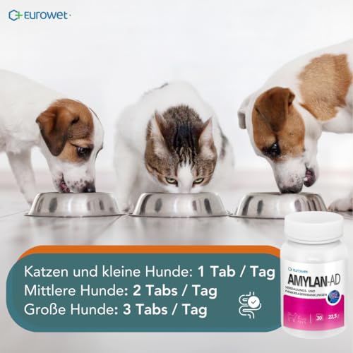 Verdauungs-Tabletten für Hunde & Katzen - Mit Rinderleber & Mineralstoffen - Für gesunde Verdauung - 30 Tabletten - AMYLAN AD