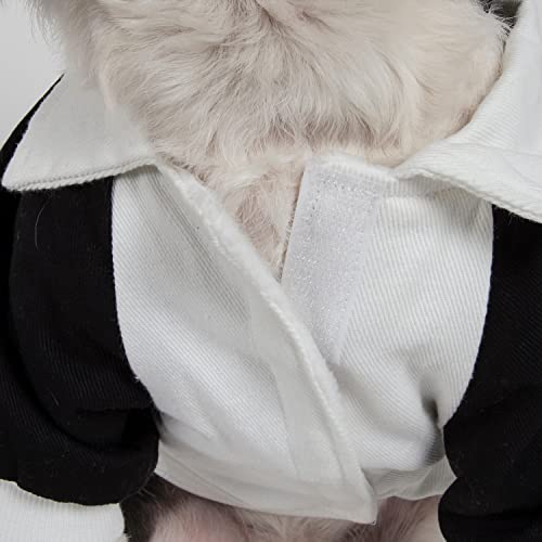 Pet Life Varsity-Buckled Collared Dog Coat - Cotton Dog Sweater With Added Trims And Details - Dog Jacket For Small Medium Large Dogs #TOP2