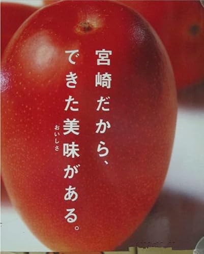 青 マンゴー」の人気商品一覧・価格比較 - 価格.com