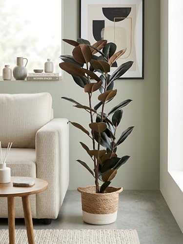 Image of Kayra Decor Artificial Rubber Plant 5ft - Lush Green Ficus Elastica Tree with White Pot | Realistic Indoor Rubber Tree for Living Room, Balcony & Office Decor