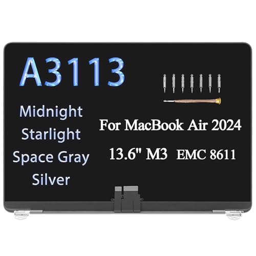 Écran de rechange pour LCD A3113 13,6" gris sidéral : dalle de remplacement pour ordinateur