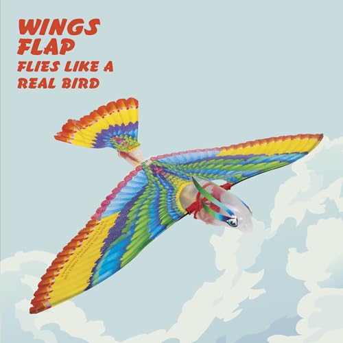 Image of Schylling Tim Flying Bird Toy Figure,for Kid,multicolor