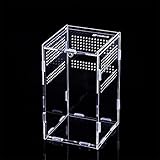 Transparente Reptilienzuchtbox, Reptil Fütterungsbox Acryl, Mini Terrarium Transportbox, für Reptilien Und Amphibien, Transparente Acryl Reptilienzuchtbox für Eidechse, Spide, Hornfrosch, Käfer