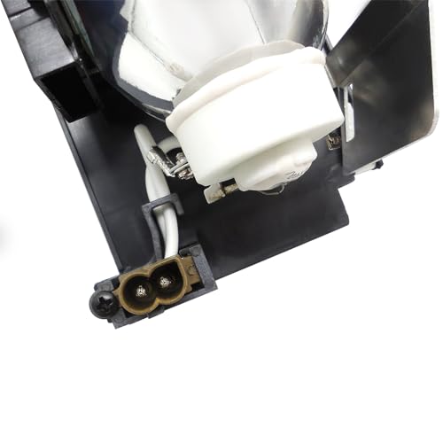 Lampe de remplacement avec boîtier DT01091 pour CP-AW100N - 6