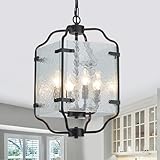 Majhoiw 10.2' Black Chandeliers Glass 4 Light Modern Farmhouse Lantern Cage Lamp Adjustable Hanging Pendant Lighting Fixture for Kitchen Island Entryway Foyer Dining Room