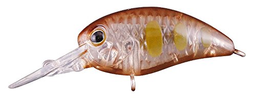 Amazon.co.jp: JACKALL(ジャッカル) ルアー TIMON パニクラDR タッキー