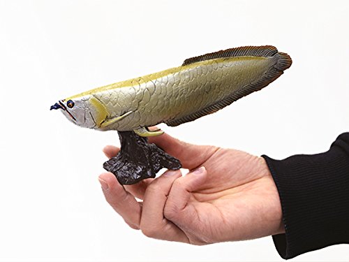 (未使用･未開封品)　シルバーアロワナ ソフトモデル(FF-003) 0pbj0lf Amazon.co.jp: シルバーアロワナ ソフトモデル(FF-003) : Home