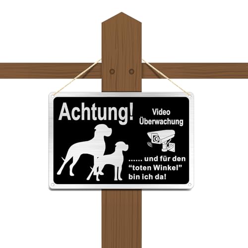 Goodvia Freilaufender Hund Videoüberwacht 30x20cm Metall Aluminium, Hunde Schilder Lustig und für den Toten Winkel Bin Ich Da