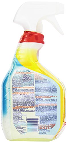 Tilex Mold & Mildew Remover, 32 Oz #TOP1