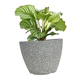 SEWOART Macetero de Resina con Textura Cemento Maceta Grande para Plantas Exterior Jardinera Resistente Estilo Piedra para Decoración Interior y Patios