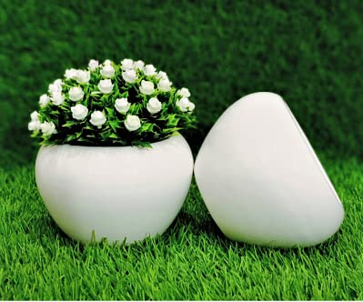 Crazy Pots Apple Cut Ceramic Planter - Pots for Home Decor, Tabletop - White Color,1 Piece, 5 X 5 X 4 (LXBXH), Small (B0B2PBHDD5) Amazon Price History, Amazon Price Tracker